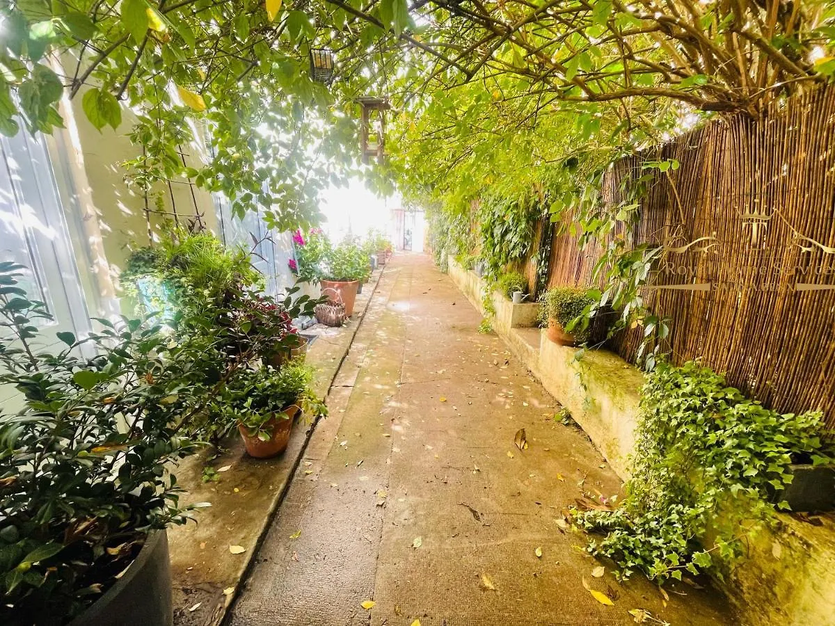 Appartement Le Jardin croix Roussien à Lyon